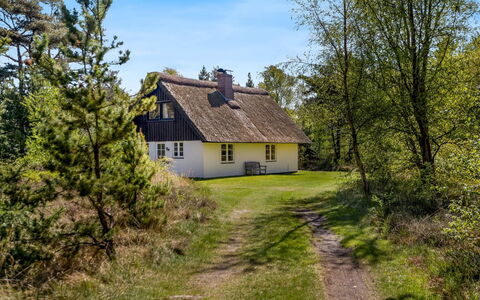 Einari - 1.2Km from the Sea