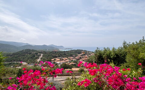 Del Mare Dipinto: Building, Plant, Furniture, Table, Chair, Window, Shade, Tree, Orange, Outdoor Furniture
