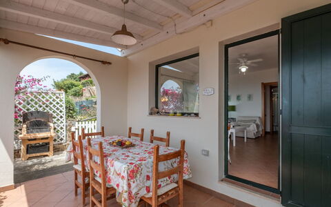 Del Mare Dipinto: Building, Plant, Furniture, Table, Chair, Window, Shade, Tree, Orange, Outdoor Furniture