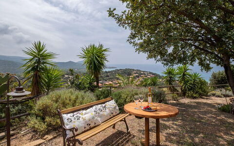 Del Mare Dipinto: Building, Plant, Furniture, Table, Chair, Window, Shade, Tree, Orange, Outdoor Furniture