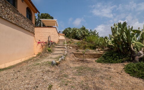 Del Mare Dipinto: Building, Plant, Furniture, Table, Chair, Window, Shade, Tree, Orange, Outdoor Furniture
