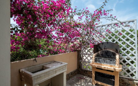 Del Mare Dipinto: Building, Plant, Furniture, Table, Chair, Window, Shade, Tree, Orange, Outdoor Furniture