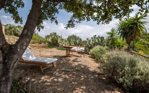 Del Mare Dipinto: Building, Plant, Furniture, Table, Chair, Window, Shade, Tree, Orange, Outdoor Furniture