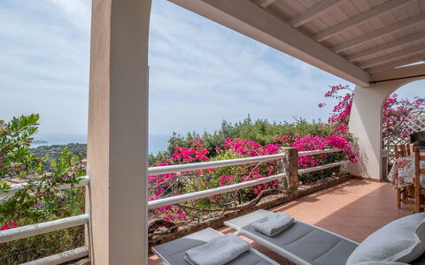 Del Mare Dipinto: Building, Plant, Furniture, Table, Chair, Window, Shade, Tree, Orange, Outdoor Furniture