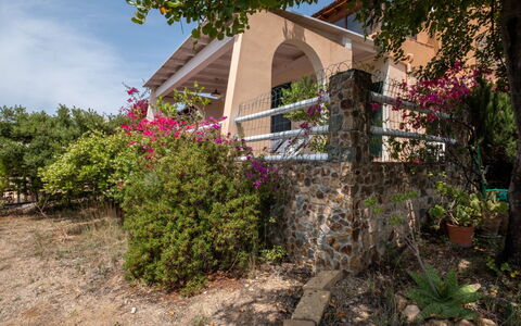 Del Mare Dipinto: Building, Plant, Furniture, Table, Chair, Window, Shade, Tree, Orange, Outdoor Furniture