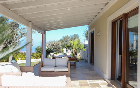 Villa Don Sante In Locorotondo Puglia: Shade, Plant, Residential Area, Ceiling, Door, Wood, Tree, Flooring, Sky, Facade