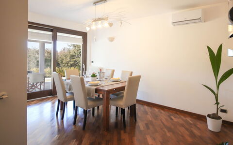 Villa Don Sante In Locorotondo Puglia: Furniture, Plant, Table, Chair, Building, Wood, Interior Design, Architecture, Flooring, Floor