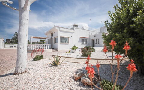 Villa Azzurra Seaview In Monopoli, Puglia: Cloud, Plant, Sky, Property, Building, Window, Tree, House, Land Lot, Arecales