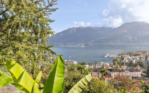 Locarno 361: Water, Sky, Cloud, Mountain, Building, Nature, Plant, Natural Landscape, Terrestrial Plant, Vegetation
