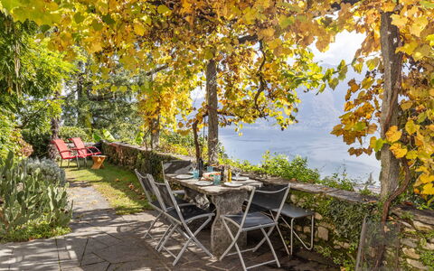 Locarno 361: Plant, Water, Leaf, Natural Landscape, Table, Branch, Wood, Shade, Tree, Outdoor Furniture