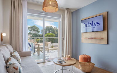 Accommodation:&nbsp;Odalys Collection L'Orée du Parc 90.2