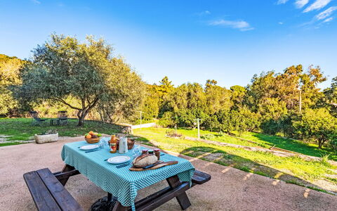 Solenzara 700: Blue, Rural Area, Sunlight, Outdoor Furniture, Garden, Shade, Picnic Table, Landscaping, Park, Outdoor Table