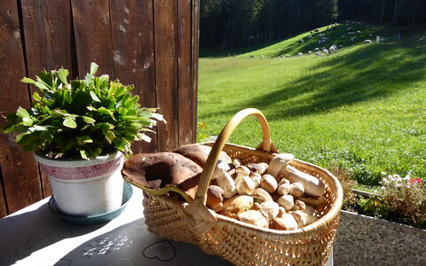 Baita Mountain View Pale San Martino: Basket, Flowerpot, Wicker, Food, Serveware, Produce, Fungus, Houseplant