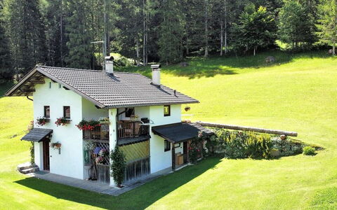 Baita Mountain View Pale San Martino: Plant, Building, Tree, Window, Land Lot, House, Landscape, Grass, Natural Landscape, Cottage