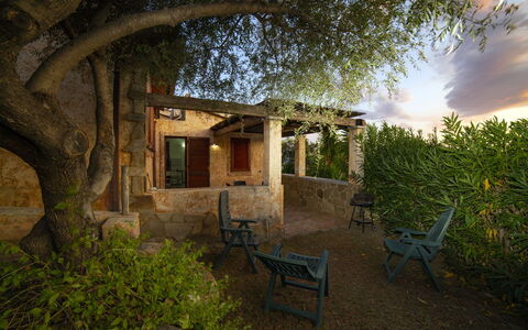 Villino Trilocale Apartments Seaside: Furniture, Garden, Shade, Outdoor Furniture, Backyard, Landscaping, Wood Stain, Outdoor Structure, Chair, Hacienda