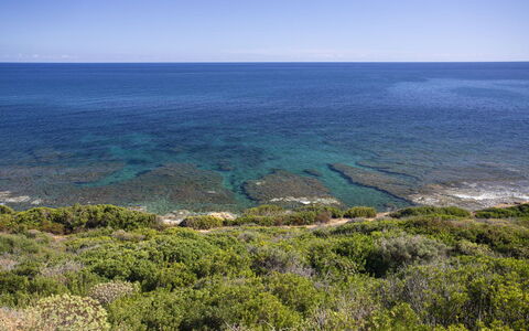 Villetta Seaside Sardegna: Blue, Water, Body Of Water, Horizon, Vegetation, Sea, Coast, Coastal And Oceanic Landforms, Summer, Ecoregion