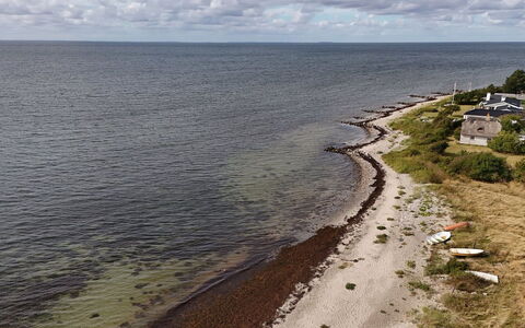 Svanborg - 40M from the Sea: Apartment, Condominium, Estate, Balcony, Villa, Hotel