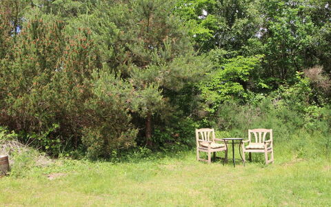 Mielikki - 2Km from the Sea: Vegetation, Shrub, Plant Community, Land Lot, Garden, Groundcover, Nature Reserve, Woody Plant, Shrubland