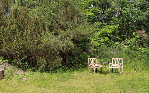 Mielikki - 2Km from the Sea: Vegetation, Shrub, Plant Community, Groundcover, Garden, Nature Reserve, Outdoor Furniture, Shrubland, Meadow