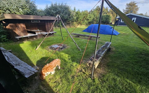 Lidewij - 800M from the Sea: Grass, Grassland, Land Lot, Cottage, Rural Area, Meadow, Garden Buildings, Garden, Shed