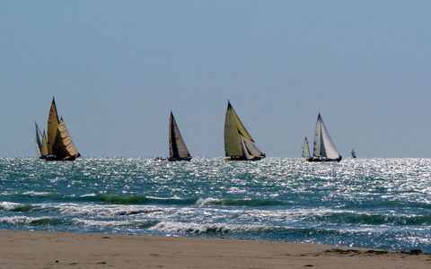 Villino Viola: Boat, Sailboat, Watercraft, Sailing, Mast, Sailing, Sea, Ocean, Recreation