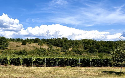 Casa Robinson Nature, Wifi, Istria, Croazia
