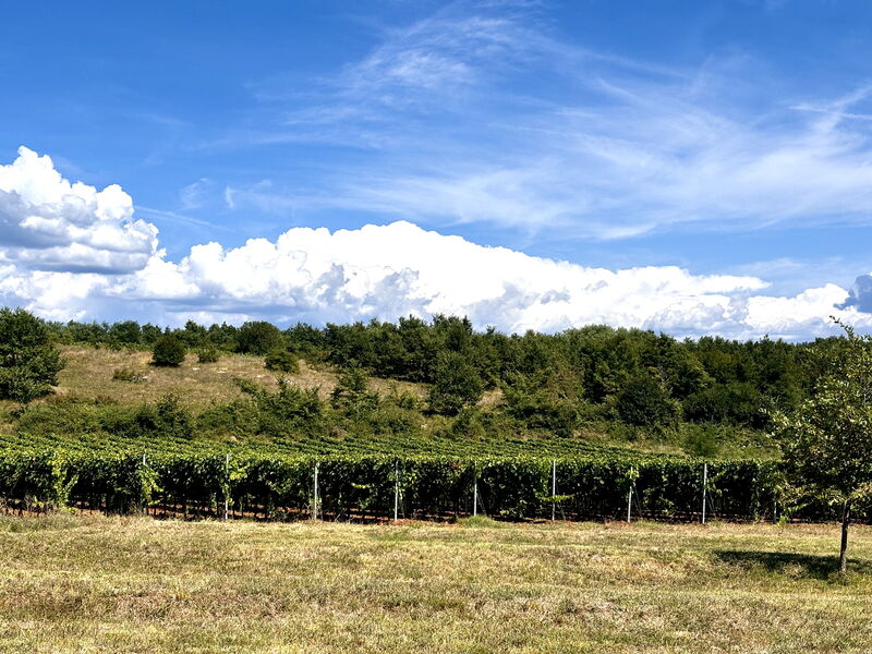 Casa Robinson Nature, Wifi, Istria, Croazia