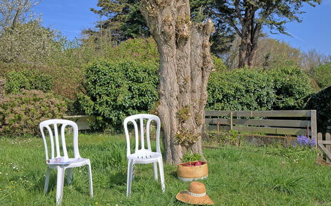 Ker Lolis: Shrub, Trunk, Garden, Outdoor Furniture, Lawn, Outdoor Bench, Backyard, Landscaping, Yard, Park
