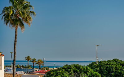 Accommodation:&nbsp;Las Pergolas 444.1