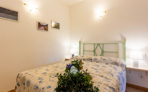 Accommodation:&nbsp;Rose 637.2