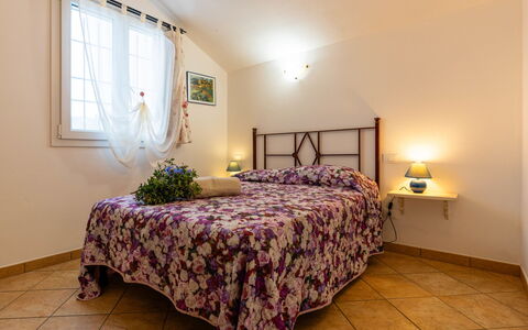 Accommodation:&nbsp;Olive Lodge 637.3