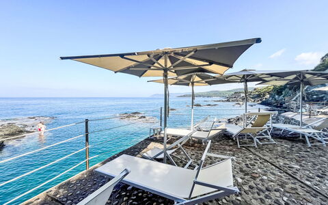 Accommodation:&nbsp;La Conchiglia 230.2