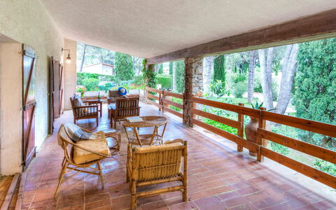 Hermine: Plant, Property, Furniture, Building, Table, Porch, Wood, Chair, Tree, Interior Design