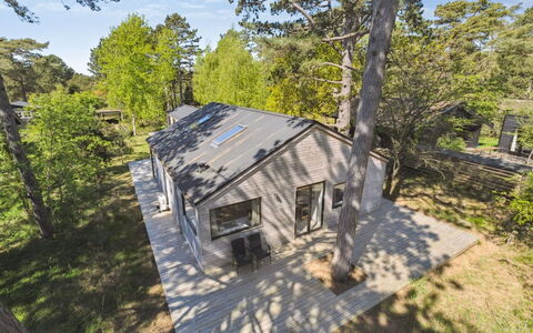 Dagino - 200M from the Sea: Vegetation, Shrub, Spring, Cottage, Garden, Shade, Backyard, Yard, Chair