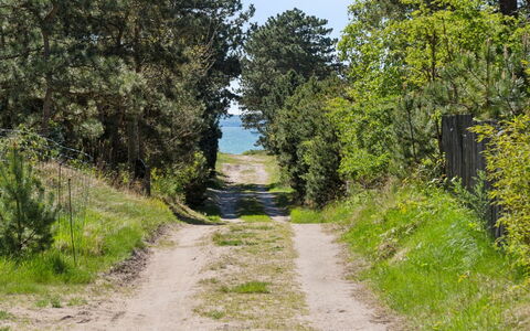 Dagino - 200M from the Sea: Vegetation, Shrub, Spring, Cottage, Garden, Shade, Backyard, Yard, Chair