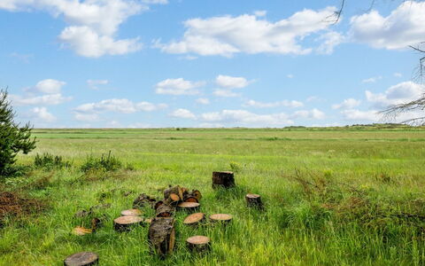 Brawith - 700M to the Fjord: Sky, Blue, Grass, Green, Natural Environment, Grassland, Cloud, Natural Landscape, Vegetation, Plain