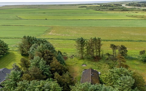 Brawith - 700M to the Fjord: Green, Grassland, Plain, Landscape, Field, Ecoregion, Land Lot, Rural Area, Aerial Photography