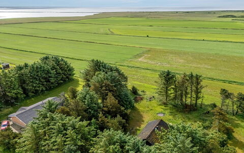 Brawith - 700M to the Fjord: Green, Natural Landscape, Grassland, Plain, Field, Landscape, Ecoregion, Land Lot, Rural Area, Plantation