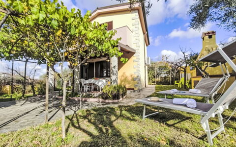 Remo: Residential Area, Shrub, Home, Garden, Estate, Landscaping, Suburb, Cottage, Shade, Yard