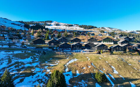 Edelweiss