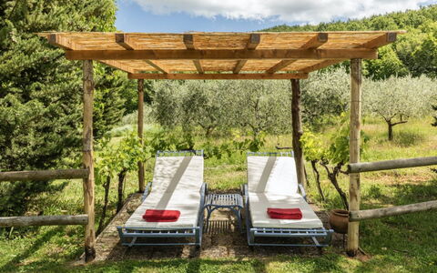 Podere Monti: Wood, Furniture, Outdoor Furniture, Garden, Shade, Hardwood, Wood Stain, Outdoor Structure, Outdoor Table, Backyard