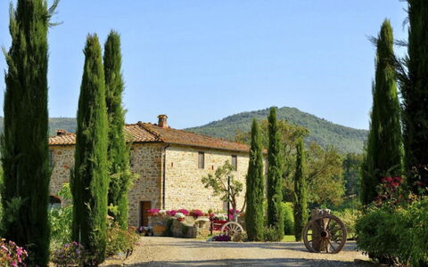 Mulino della Villa: Shrub, Garden, Landscaping, Plantation, Evergreen, Pine Family