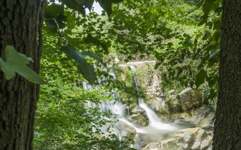 Mulino della Frateria: Water Resources, Water, Body Of Water, Nature, Natural Environment, Natural Landscape, Branch, Stream, Watercourse, Vegetation
