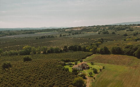 Bagnoletto: Grassland, Field, Plain, Landscape, Plantation, Rural Area, Agriculture, Land Lot, Meadow, Pasture