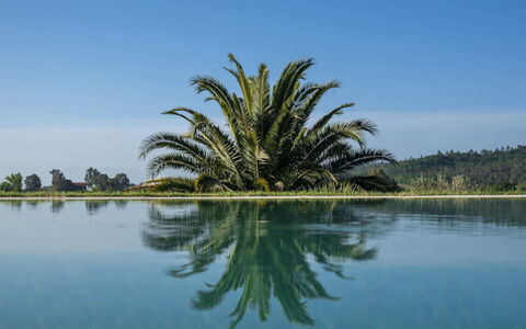 Villa Moscato: Blue, Water, Body Of Water, Reflection, Lake, Swimming Pool, Reservoir, Tropics, Reflecting Pool