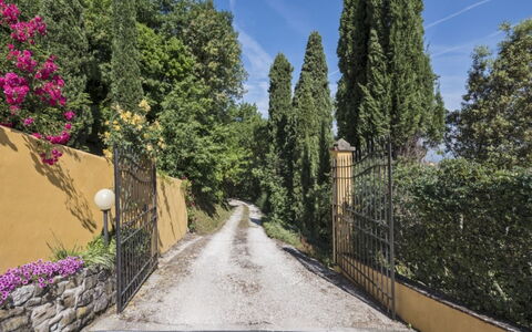 Villa Lucente: Leaf, Vegetation, Shrub, Garden, Landscaping, Driveway, Evergreen, Trail, Larch