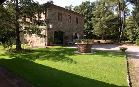 Villa Antonella: Shrub, Garden, Lawn, Hacienda, Yard, Shade, Landscaping, Backyard, Estate, Driveway