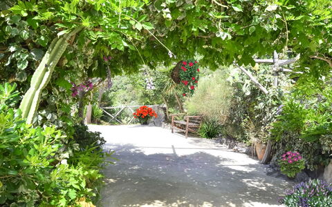 Villa Campanella: Flower, Vegetation, Shrub, Garden, Spring, Floristry, Botanical Garden, Walkway, Trail