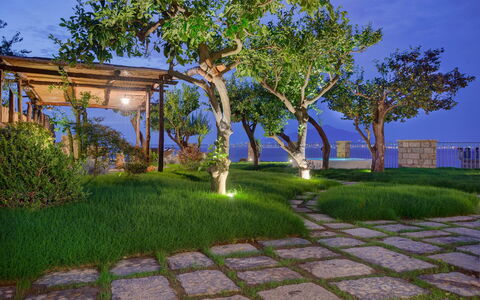 Villa Gilda: Nature, Garden, Shrub, Landscape, Shade, Landscaping, Lawn, Walkway, Yard