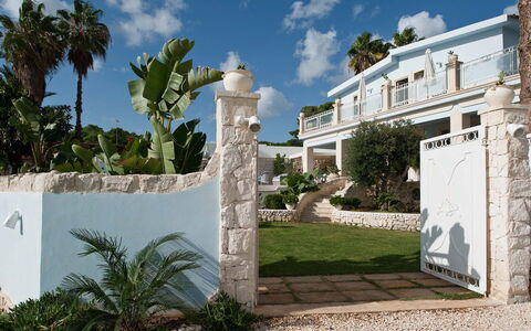 Villa Teresa: Estate, Shade, Hacienda, Mansion, Resort, Landscaping, Villa, Concrete, Garden